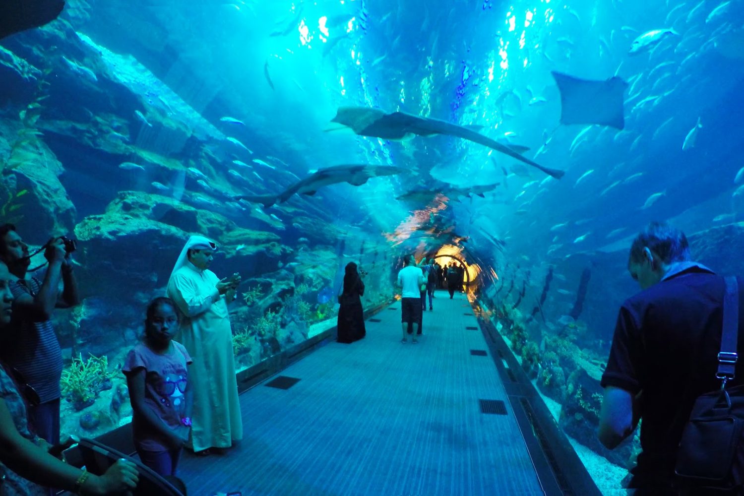Dubai Mall Aquarium with Underwater Zoo with transfers
