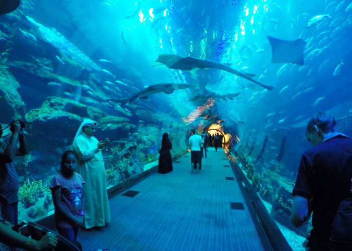 Dubai Mall Aquarium with Underwater Zoo with transfers